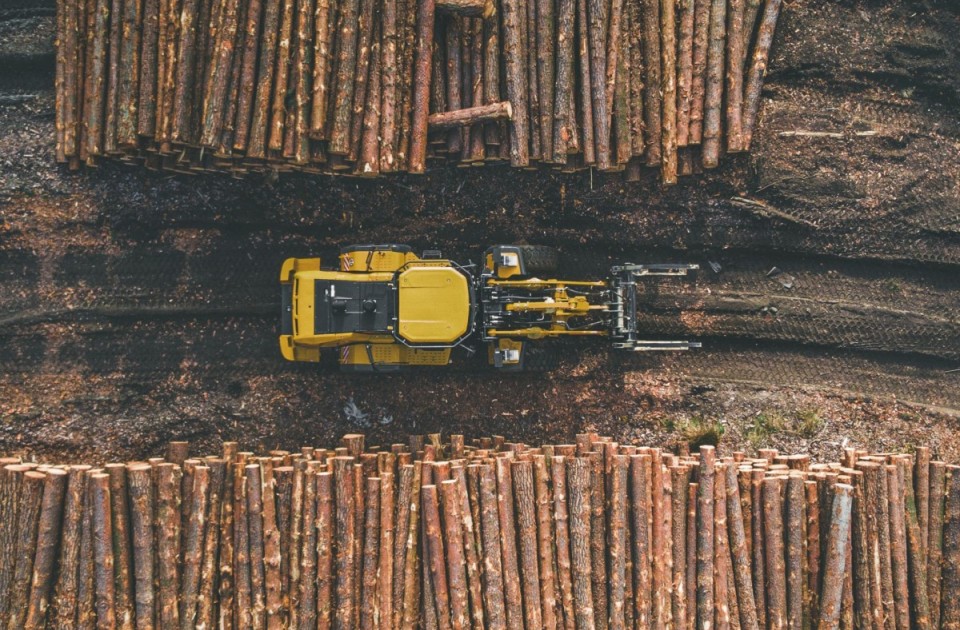 Sawn timber and structural timber production