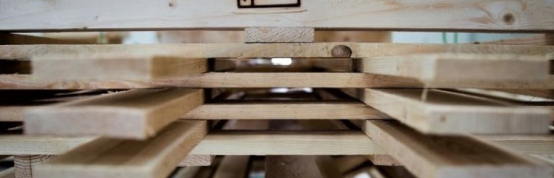 ISPM 15 - bezpieczeństwo fitosanitarne drewnianych opakowań