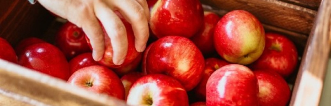 Drewniane opakowania w branży handlowej