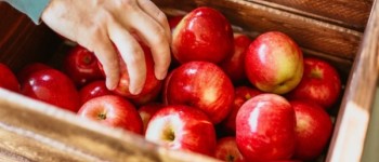 Drewniane opakowania w branży handlowej